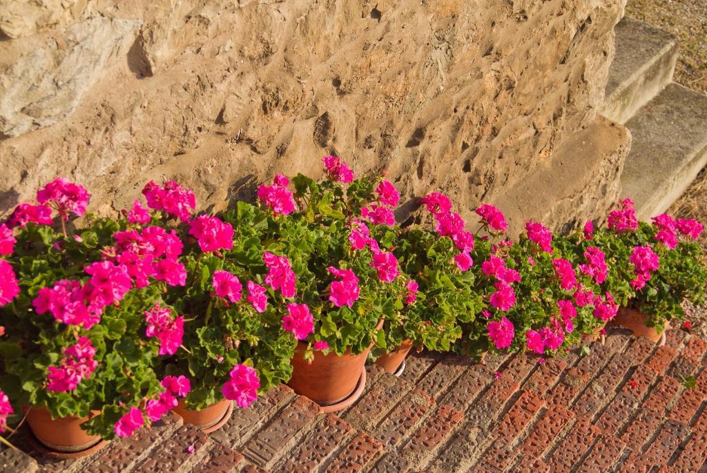 سانتيانا ذيل مار Posada La Solana - Adults Only المظهر الخارجي الصورة