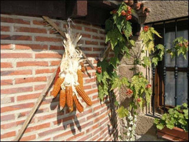 سانتيانا ذيل مار Posada La Solana - Adults Only المظهر الخارجي الصورة